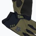 Vyriškos dviračių pirštinės Fox Racing Defend Wind Offroad olive green 6