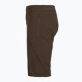 Vyriški dviračių šortai Fox Racing Ranger Liner cocoa 3