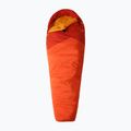 The North Face Wasatch Pro 40 miegmaišis oranžinis NF0A52EZB031