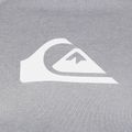 Vyriški marškinėliai ilgomis rankovėmis Quiksilver All Time grey 3