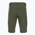 Vyriškos trekingo kelnės Salomon Wayfarer Zip Off green LC1741100 6