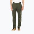 Vyriškos trekingo kelnės Salomon Wayfarer Zip Off green LC1741100
