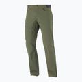 Vyriškos trekingo kelnės Salomon Wayfarer green LC1739200