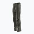 Vyriškos trekingo kelnės Salomon Wayfarer green LC1739200 4
