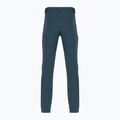 Vyriškos trekingo kelnės Salomon Wayfarer blue LC1713700 2