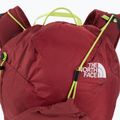 Moteriška turistinė kuprinė The North Face Chimera 24 l red NF0A3GA34J61 5