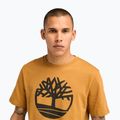 Vyriški marškinėliai Timberland Kennebec Tree Logo wheat boot 4
