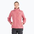 Moteriška striukė nuo lietaus The North Face Sangro pink NF00A3X646G1
