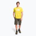 Vyriški treniruočių marškinėliai The North Face Reaxion Easy yellow NF0A4CDV7601 2