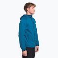 Vyriški džemperiai The North Face Canyonlands FZ blue NF0A5G9UHRN1 3