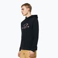 Vyriškas džemperis Oakley Bark 2.0 Hoodie FZ black/american flag 3