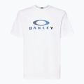 Vyriški marškinėliai Oakley Camo Ellipse Tee white