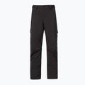 Vyriškos snieglenčių kelnės Oakley Axis Insulated black FOA403446 8