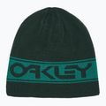 Oakley TNP apverčiama kepurė žalia FOS901066 4