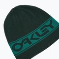Oakley TNP apverčiama kepurė žalia FOS901066 6