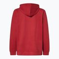 Vyriškas džemperis Oakley PO Hoodie iron red 2