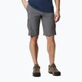 Columbia Silver Ridge II Cargo 023 grey 1794921 vyriški trekingo šortai