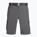 Columbia Silver Ridge II Cargo 023 grey 1794921 vyriški trekingo šortai 6