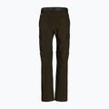 Columbia Silver Ridge II converti 319 green 1794891 vyriškos trekingo kelnės 9