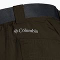 Columbia Silver Ridge II converti 319 green 1794891 vyriškos trekingo kelnės 11