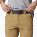 Columbia Silver Ridge II vyriški trekingo šortai 243 beige 1794931 2