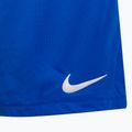 Nike Dri-Fit Park III vyrų treniruočių šortai mėlyni BV6855-463 3