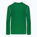 Vaikiškas futbolo džemperis Nike Dri-FIT Park 20 Crew pine green/white/white 2