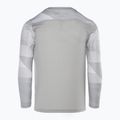 Vaikiški vartininko marškinėliai Nike Dri-FIT Park IV Goalkeeper pewter grey/white/black 2