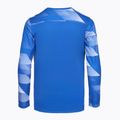 Nike Dry-Fit Park IV vaikų futbolo marškinėliai mėlyni CJ6072-463 2