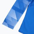Nike Dry-Fit Park IV vaikų futbolo marškinėliai mėlyni CJ6072-463 4