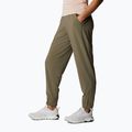 Columbia Pleasant Creek Warm Jogger brown moteriškos trekingo kelnės 1960113 2