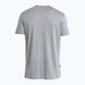 Vyriški žygio marškinėliai icebreaker Merino 125 Cool-Lite Sphere III SS Tee metro heather 5