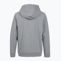 Moteriškas žygio džemperis Patagonia P-6 Label Uprisal Hoody gravel heather 2