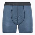 Vyriškos trumpikės Patagonia Essential Boxer Briefs 6" fathom stripe/new navy