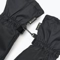 Vyriškos snieglenčių pirštinės Dakine Titan Gore-Tex Mitt black 6