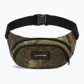 Juosmes krepšys Dakine Hip earth topo