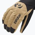 Vyriškos snieglenčių pirštinės ThirtyTwo Lashed Glove khaki 4