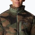 Columbia vyriški marškinėliai Winter Pass Print Fleece sweatshirt brown 1866565 6