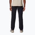 Vyriškos žygio kelnės Columbia Silver Ridge Utility black 2