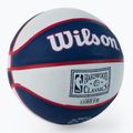 Wilson NBA Team Retro Mini Sacramento Kings krepšinio kamuolys WTB3200XBSAC dydis 3 2