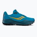 Vyriški bėgimo bateliai Saucony Peregrine 12 blue S20737 2