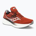Moteriški bėgimo bateliai Saucony Triumph 20 red S20759-25