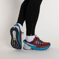 Vyriški Merrell Agility Peak 4 raudonai mėlyni bėgimo bateliai J067463 2