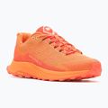 Merrell Fly Moab Flight vyriški bėgimo bateliai orange J067477 10
