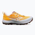 Moteriški bėgimo batai Saucony Peregrine 14 flax/clove 8