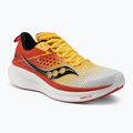 Vyriški bėgimo bateliai Saucony Ride 17 white/vizigold