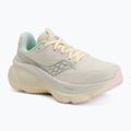 Moteriški bėgimo batai Saucony Hurricane 26 quartz/suede