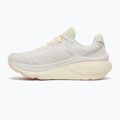 Moteriški bėgimo batai Saucony Hurricane 26 quartz/suede 2
