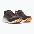 Moteriški bėgimo batai Saucony Endorphin Azura torte 3