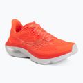Moteriški bėgimo batai Saucony Kinvara 16 vizired